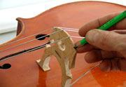 Thomas Bertrand – Violin maker